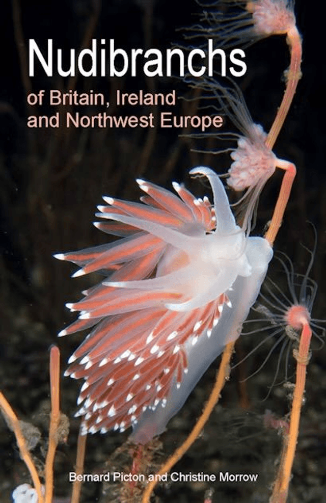 Seasearch Nudibranchs of Britain, Ireland and Northwest Europe: Second Edition