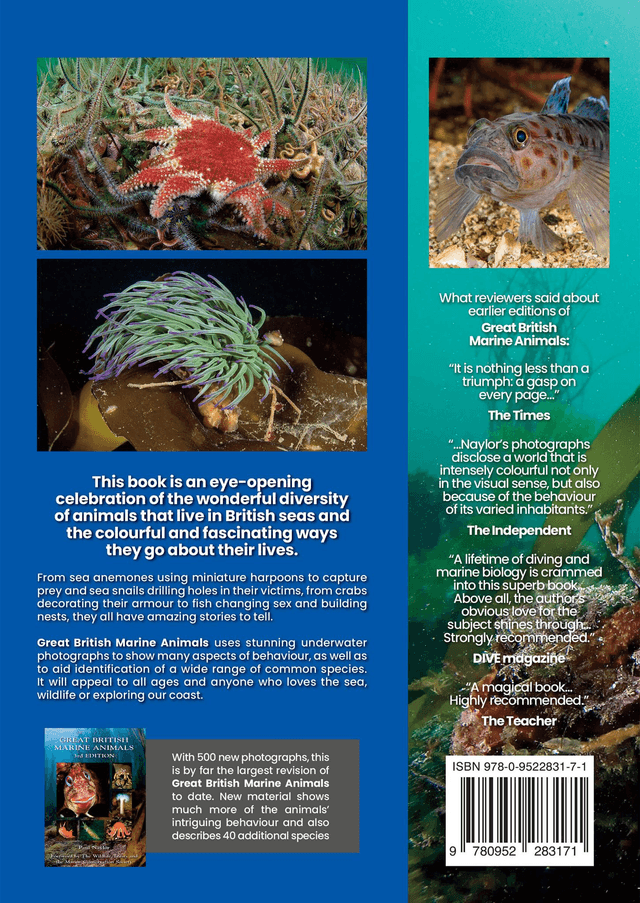 Great British Marine Animals By Dr. Paul Naylor