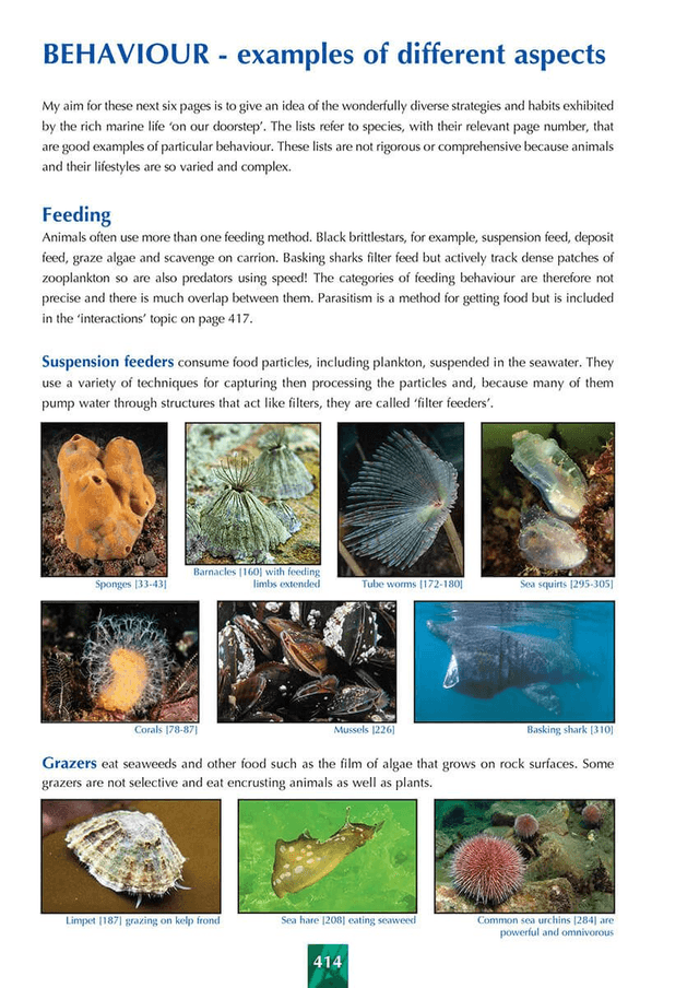 Great British Marine Animals By Dr. Paul Naylor