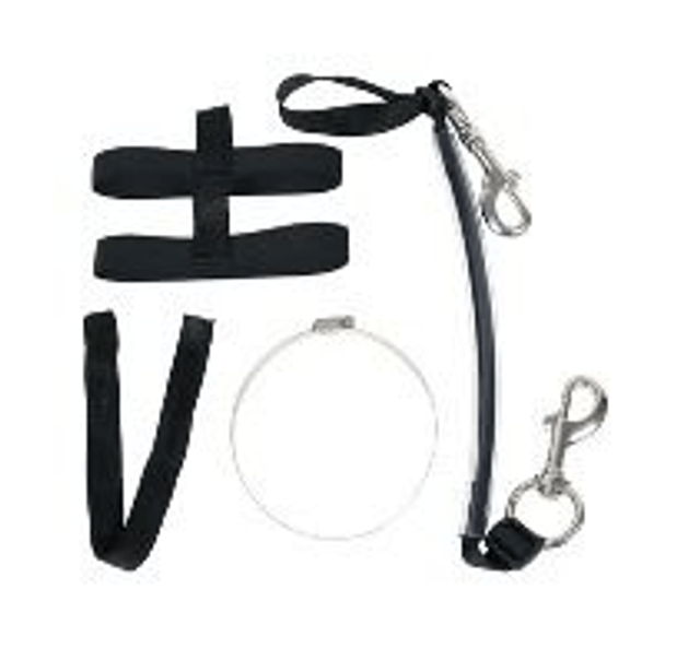 Best Divers Harness for Stage Tank