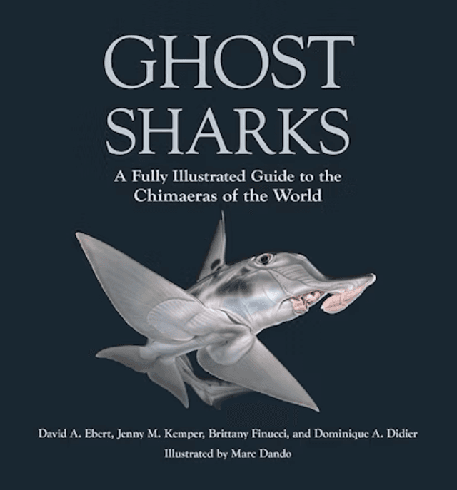 Ghost Sharks: A Fully Illustrated Guide to the Chimaeras of the World